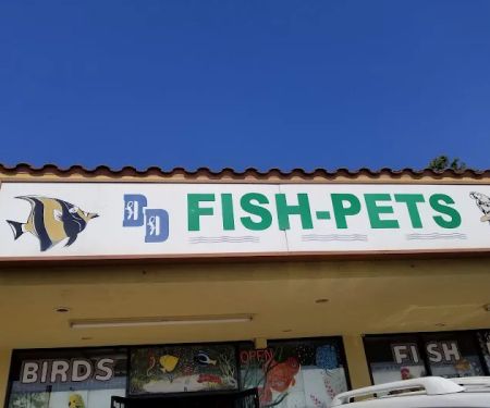 D D Fish & Pets