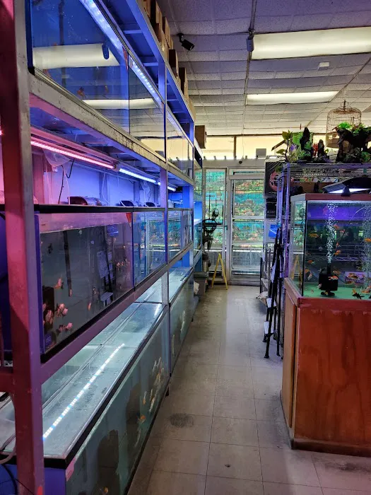 D D Fish & Pets Picture 7
