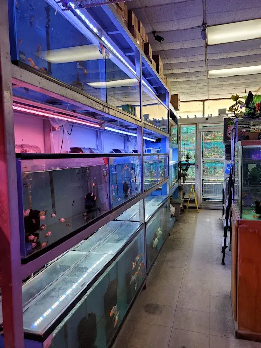 D D Fish & Pets Picture 10