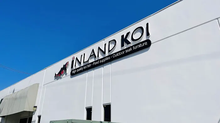 Inland Koi Picture 9