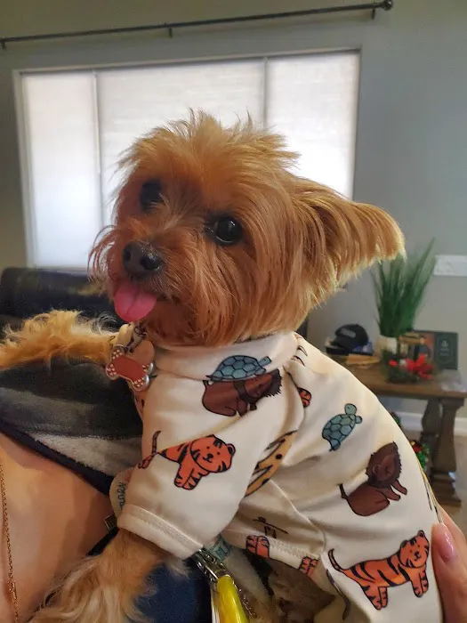 Great Hearts Animal Hospital of Chandler Picture 6