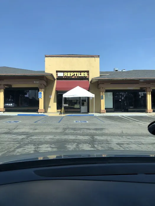 Amazon Reptile Center Picture 1
