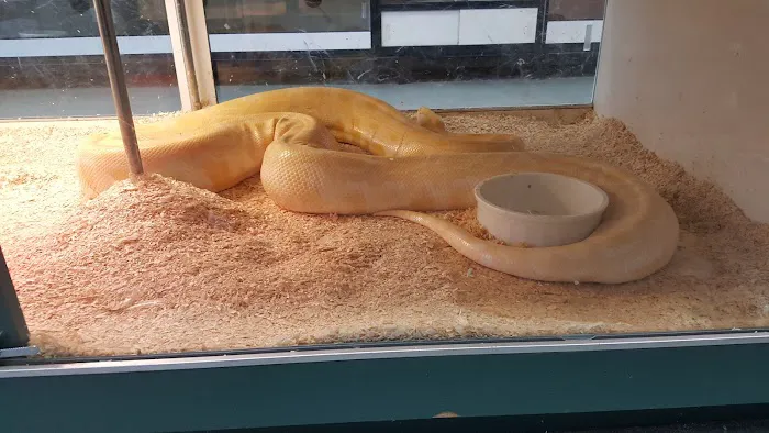 Amazon Reptile Center Picture 2
