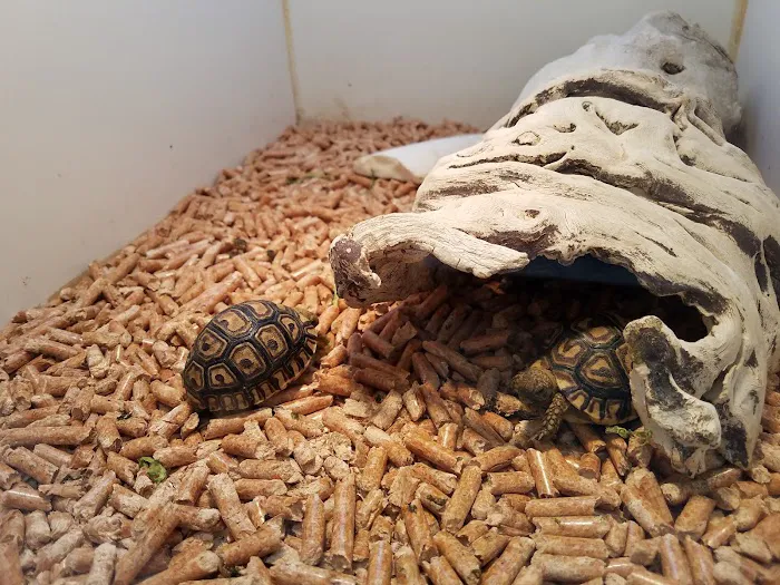 Amazon Reptile Center Picture 7
