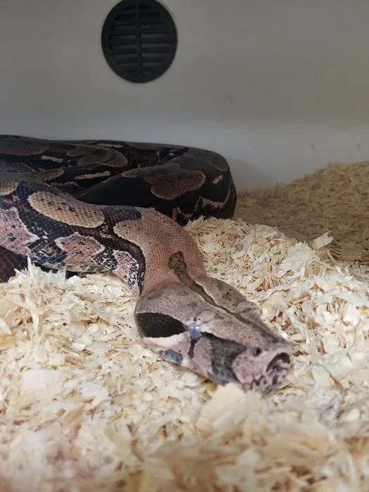 Amazon Reptile Center Picture 6