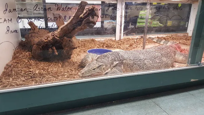 Amazon Reptile Center Picture 4