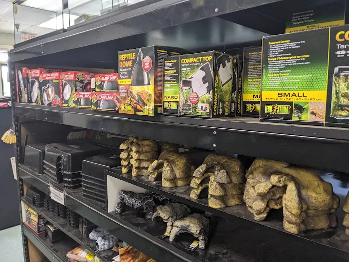 Amazon Reptile Center Picture 5