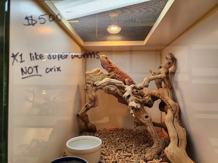 Amazon Reptile Center Picture 8