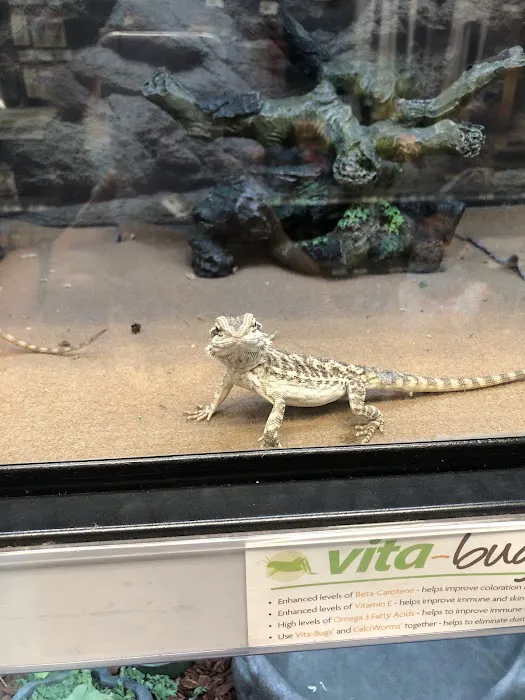 Petco Picture 2