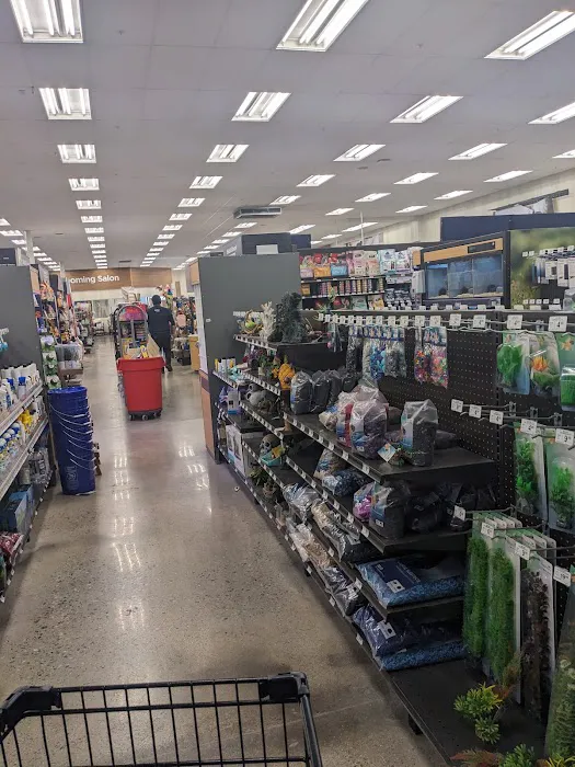 Petco Picture 6