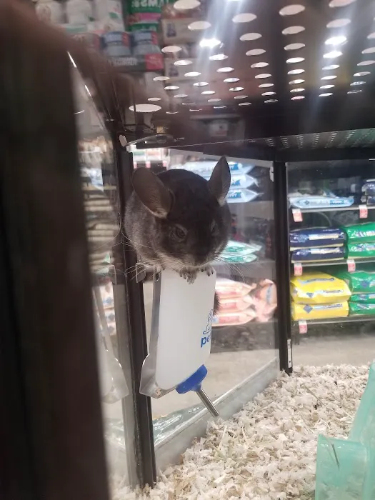 Petco Picture 10