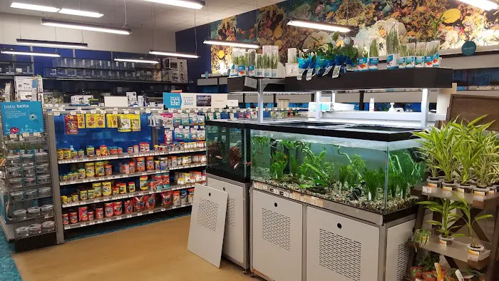 Petco Picture 9