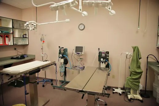 Oasis Animal Hospital Picture 9