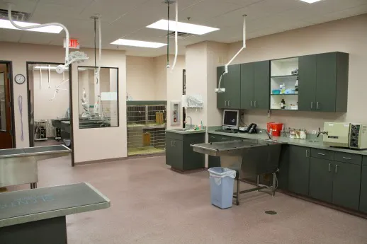 Oasis Animal Hospital Picture 10