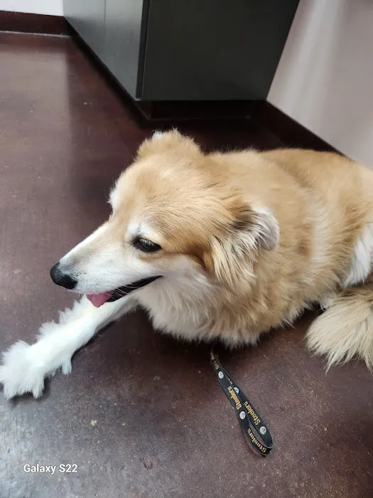 Oasis Animal Hospital Picture 8