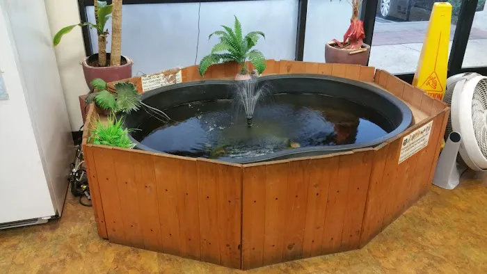 Jan's Tropical Fish Picture 7