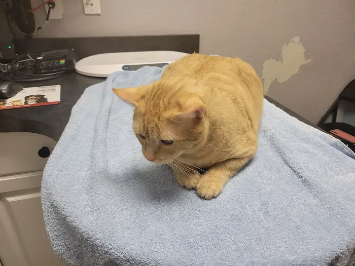 Prestige Animal Clinic Picture 5