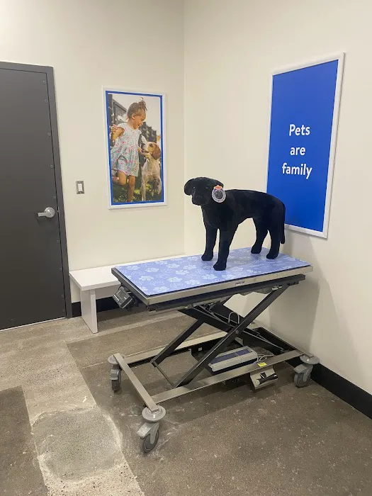 Walmart Pet Services Picture 2