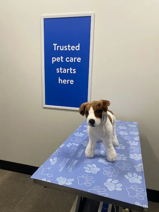 Walmart Pet Services Picture 3