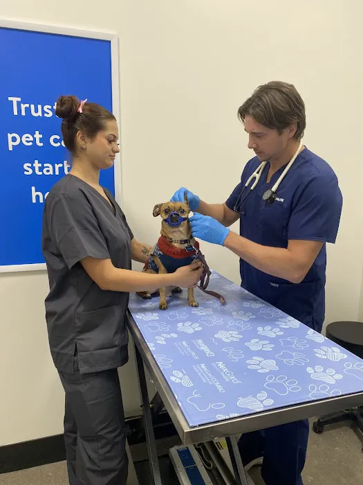 Walmart Pet Services Picture 6