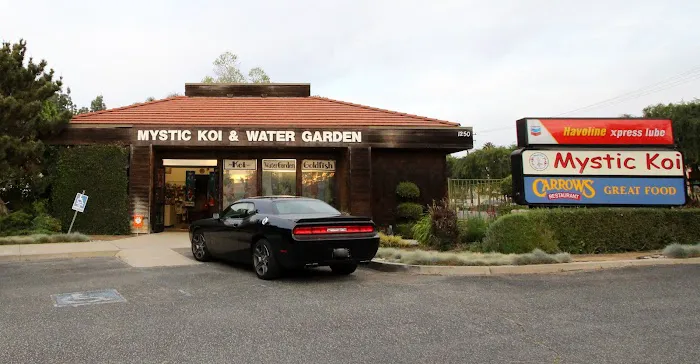 Mystic Koi & Water Gardens Picture 1