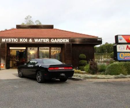 Mystic Koi & Water Gardens