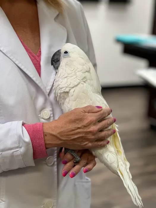 Little Critters Veterinary Hospital Picture 5