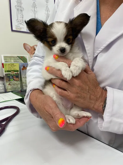 Little Critters Veterinary Hospital Picture 4