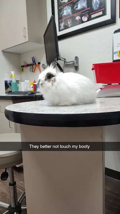 Avian & Exotic Animal Clinic Picture 1