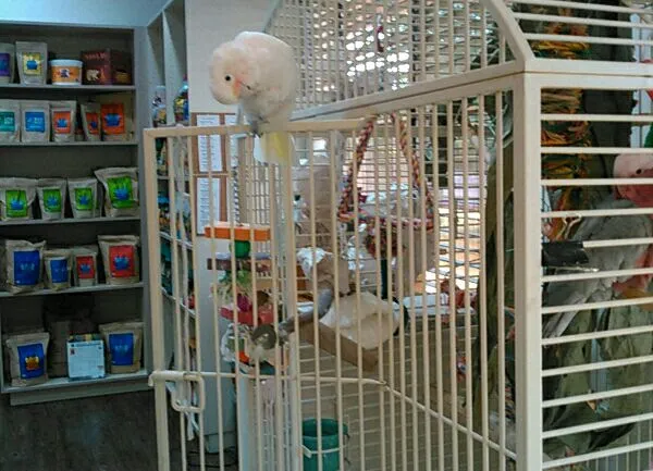 Avian & Exotic Animal Clinic Picture 2