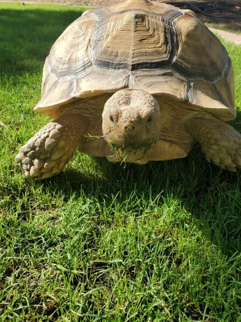 Avian & Exotic Animal Clinic Picture 3