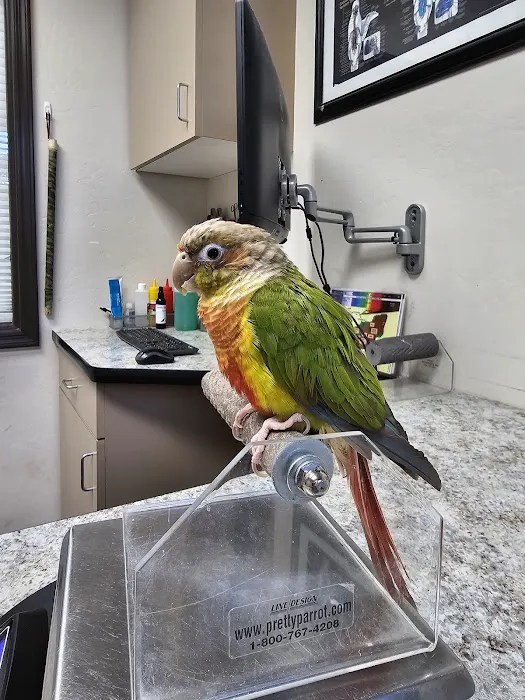 Avian & Exotic Animal Clinic Picture 9