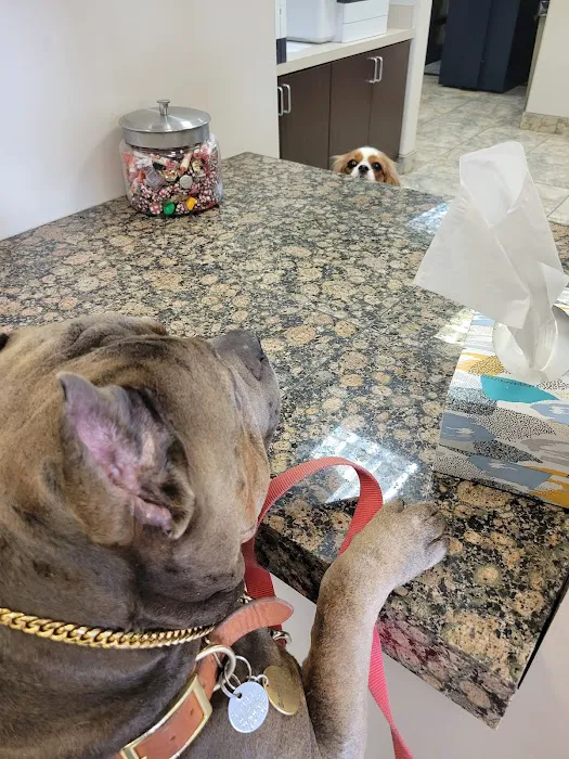 Caring Hearts Animal Clinic Picture 9