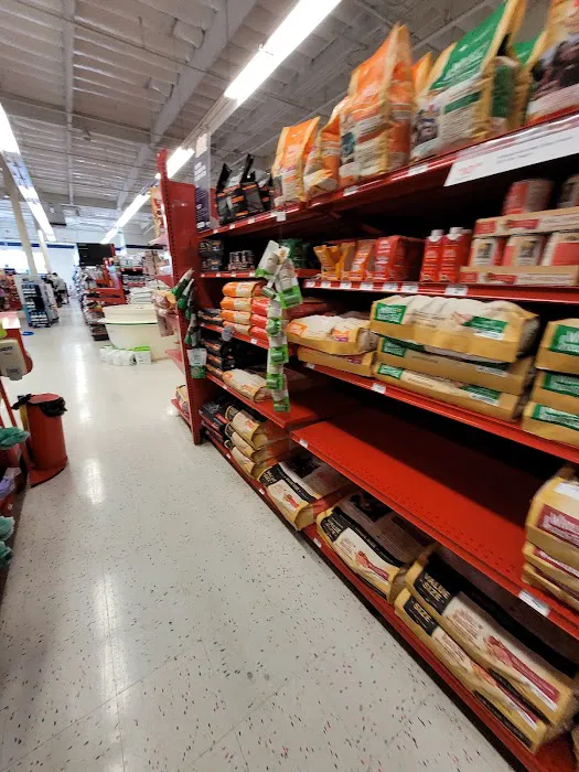 Petco Picture 3