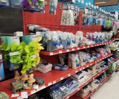 Petco