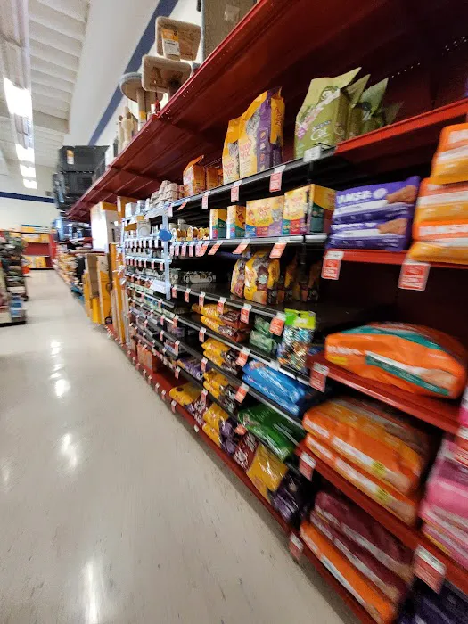 Petco Picture 5