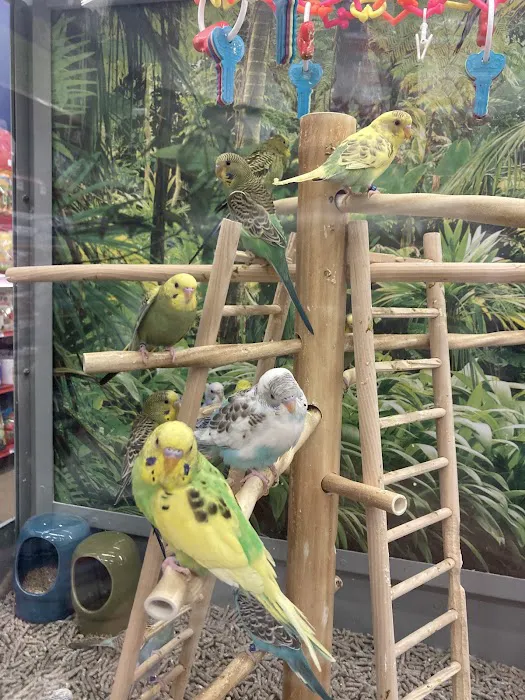 Petco Picture 10