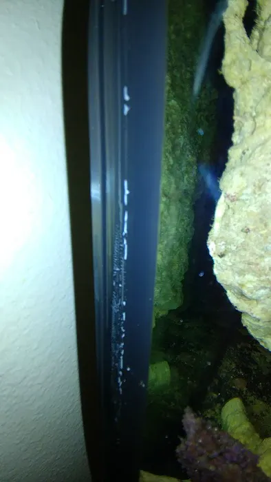 aquarium masters Picture 2