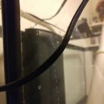 aquarium masters