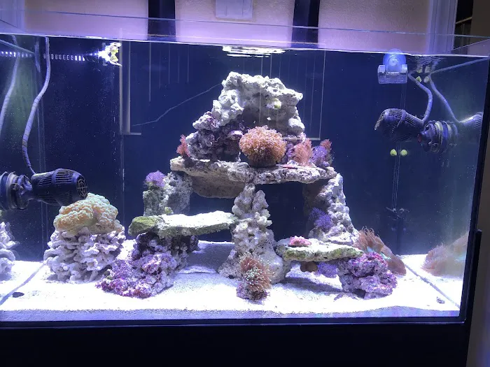 Mk Aquarium Services Picture 5