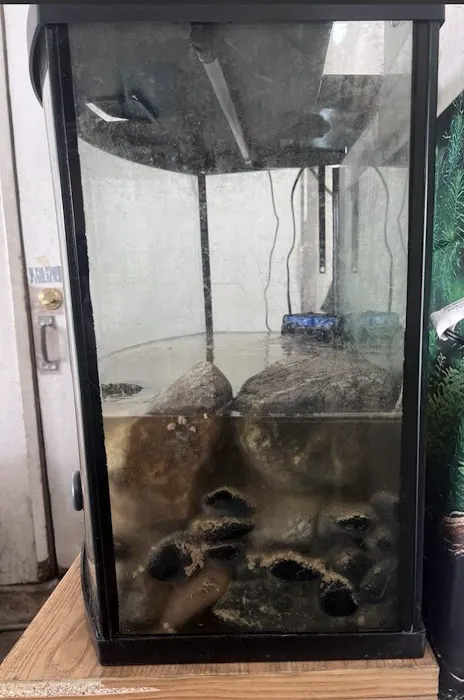 Mk Aquarium Services Picture 4