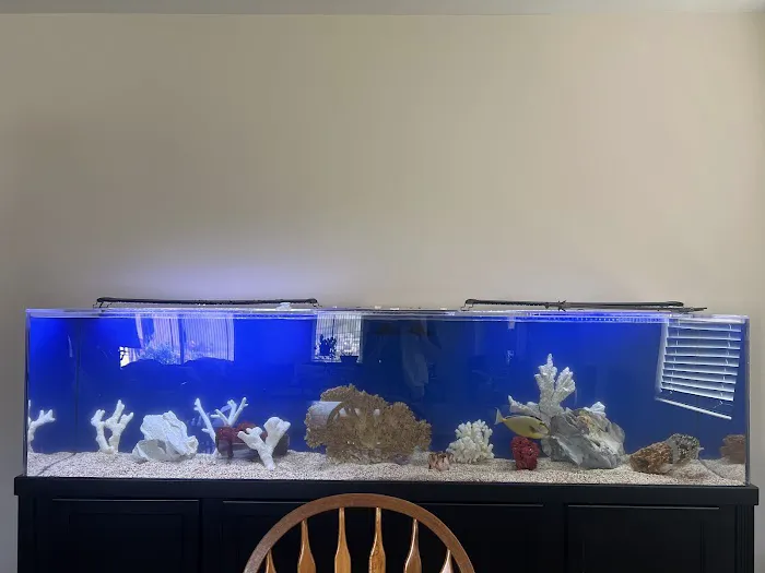 Mk Aquarium Services Picture 1