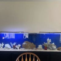 Mk Aquarium Services ico