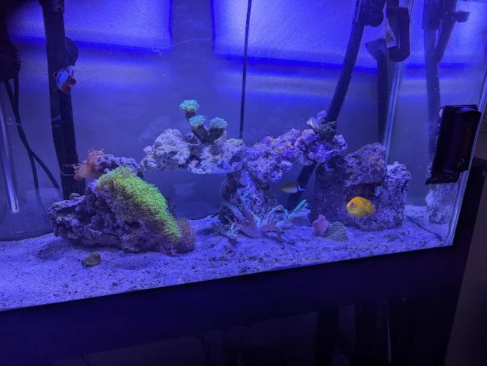 Mk Aquarium Services Picture 2