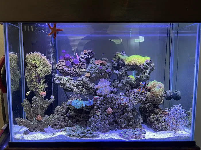 Mk Aquarium Services Picture 9