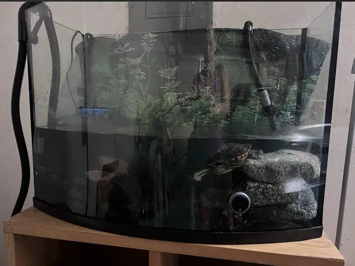 Mk Aquarium Services Picture 6