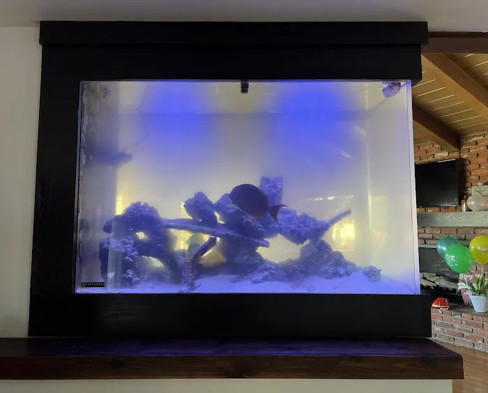 Mk Aquarium Services Picture 7