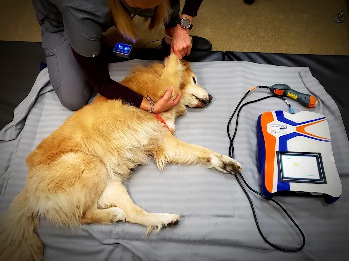 Canine Wellness Center Picture 10