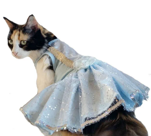 Love's Pets Picture 2