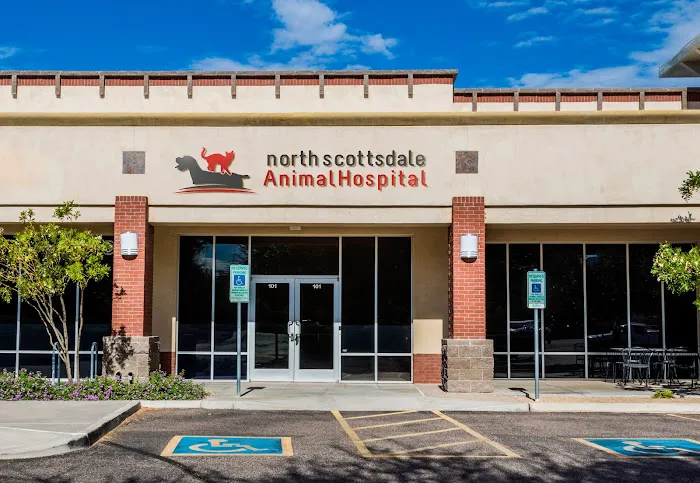 North Scottsdale Animal Hospital Picture 3